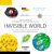 KNOWLEDGE BOOK: INVISIBLE WORLD